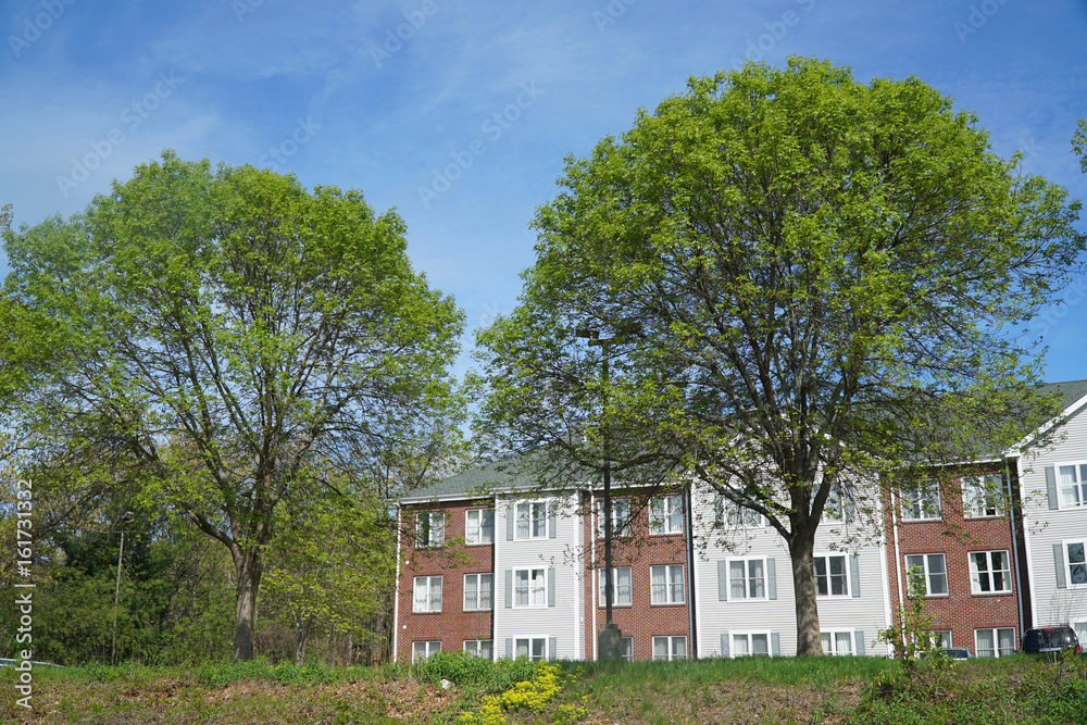 apartment building with spring trees landscape apartment building with spring trees landscape