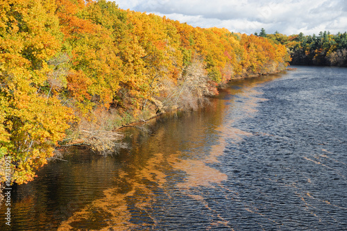 river and colorful autumn forest at the bank with floating fallen leaves on water surface