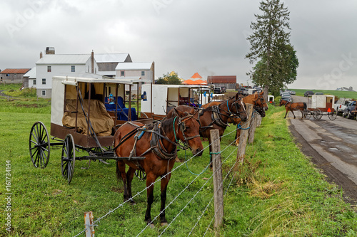 Amish Benefit Auction in Pennsylvania