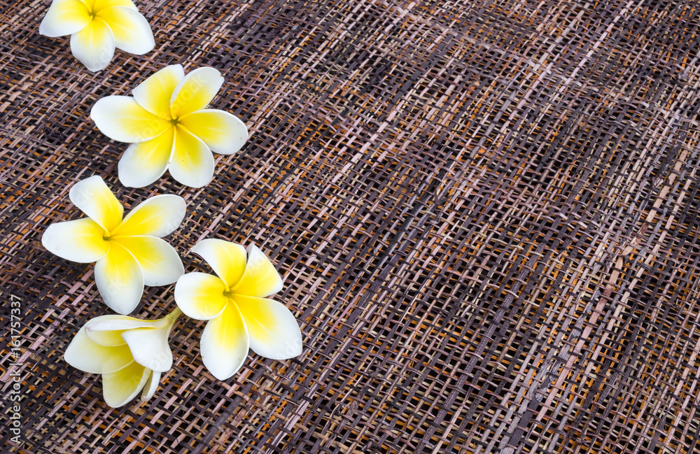 Fresh flowers of white plumeria (frangipani) on colored textured straw background with space for text. 