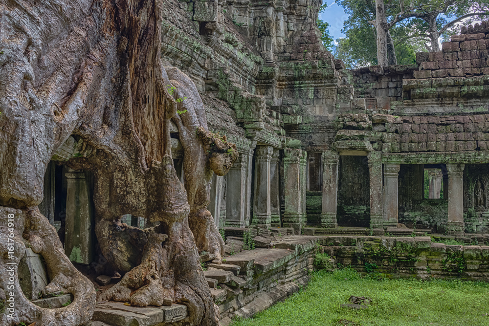 Angkor Complex Ruins
