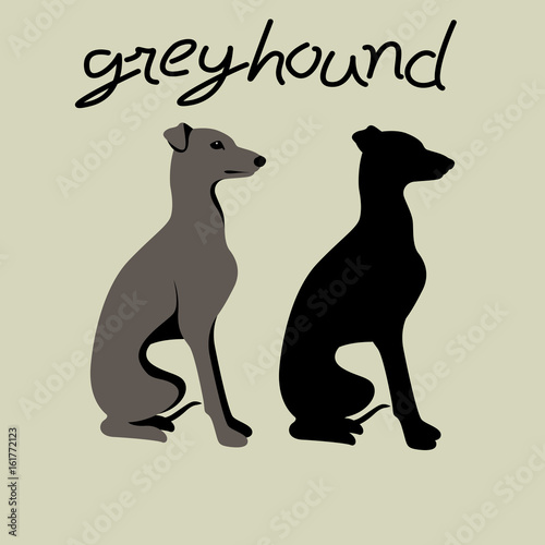 italian greyhound vector illustration style Flat  silhouette  black