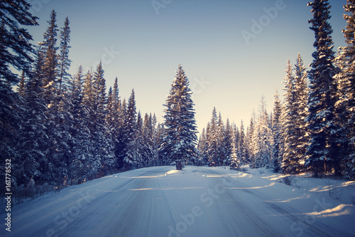  Beautiful snowy forest road during sunset, Banff national park, Canada  © Jan