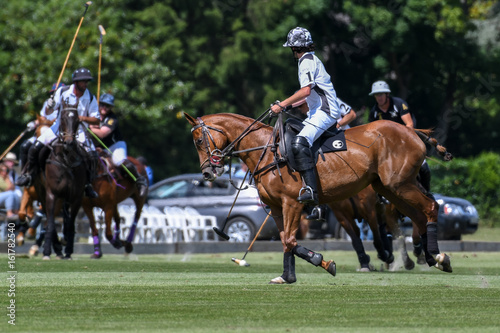 Polo cup © fifranck