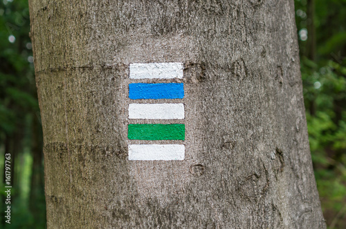 Colorful tourist sign or mark on tree