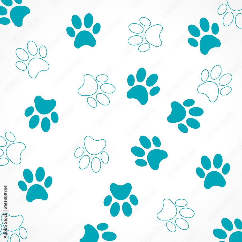 empreinte chien empreinte chien