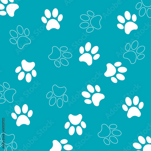 empreinte pattes chien