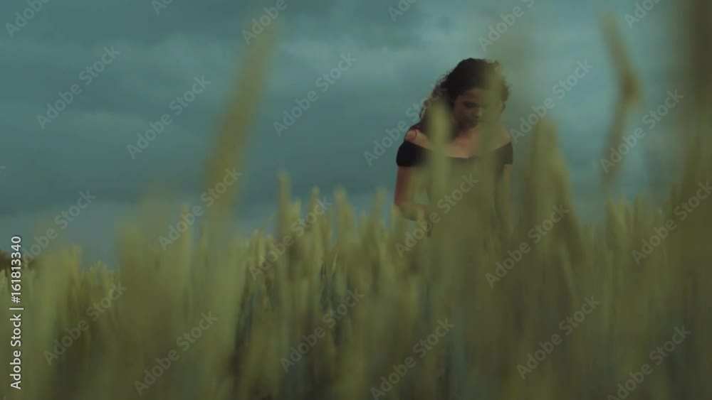 Beautiful view of attractive brunette woman in a black bare shoulders dress standing in the wheat field in a strong wind., looking around, walking through. Beautiful scenery, summertime.