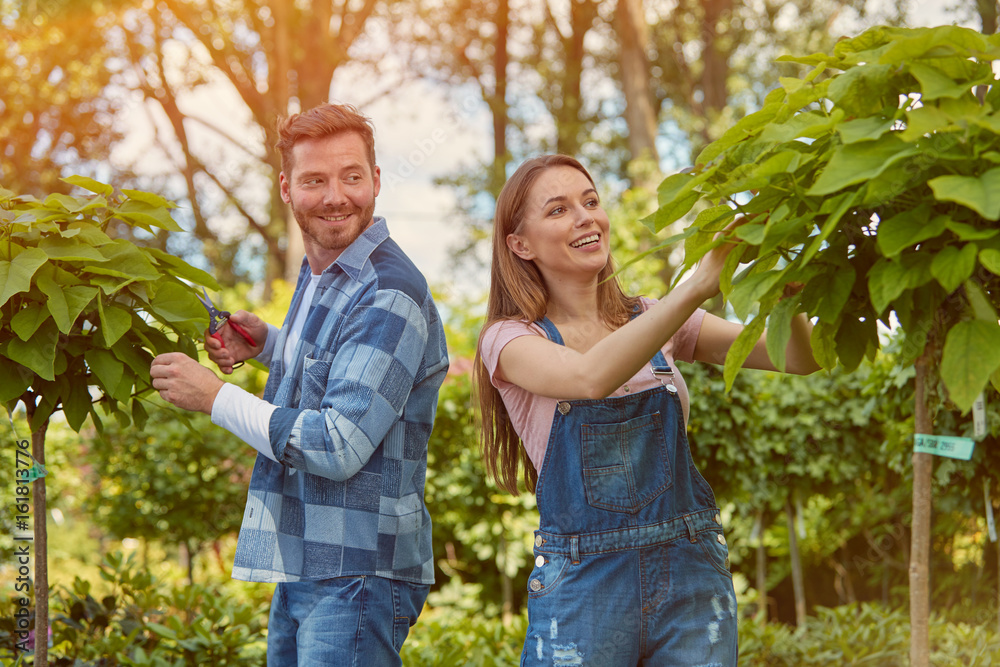 Male and female professional gardeners cutting leaves while taking care of plants in the garden. Male and female professional gardeners cutting leaves while taking care of plants in the garden.