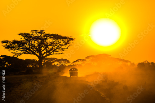 safari jeep driving through savannah in the sunset