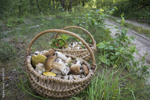 In the summer in the forest there are two full baskets with edible mushrooms and strawberries.