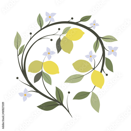 Branch of lemon tree with flowers and leaves. Vector Illustration