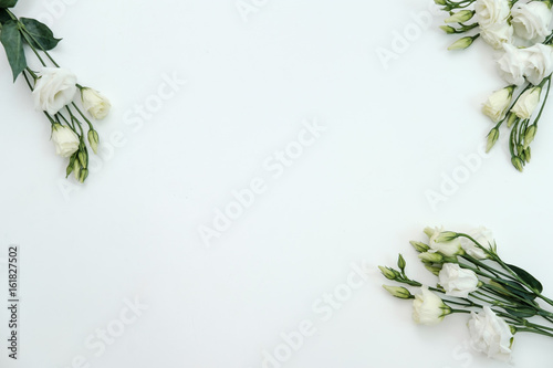 Beautiful eustoma flowers isolated on white background