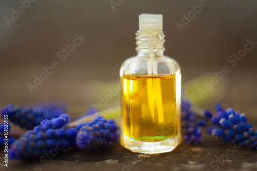 Fototapeta Naklejka Na Ścianę i Meble -  Essential oil of muscari flower on a table in beautiful bottle
