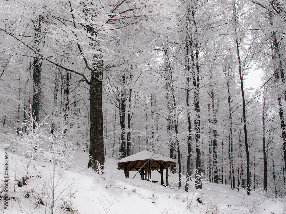 Pavillion in a snowy forest