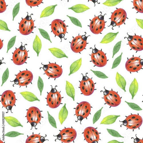 Pencil drawind seamless pattern of red bug and green leaves © Kateryna