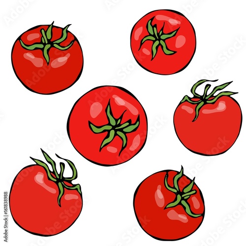 A Bunch of Red Fresh Ripe Tomatoes. Isolated On a White Background. Realistic and Doodle Style Hand Drawn Sketch Vector Illustration.