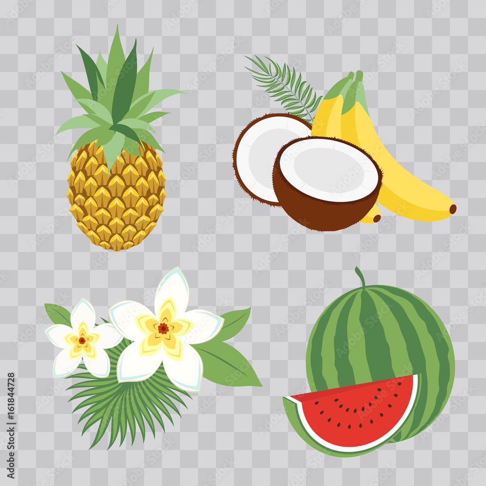 Set of Vector Illustration Icons tropical fruits with leaves and flowers. Set of vector trendy illustrations isolated on transparent checkered.