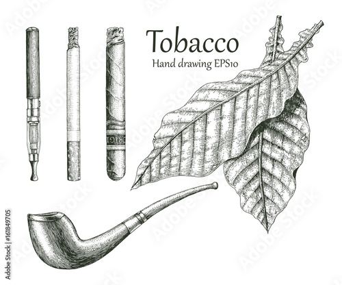 Tobacco collection hand drawing vintage style