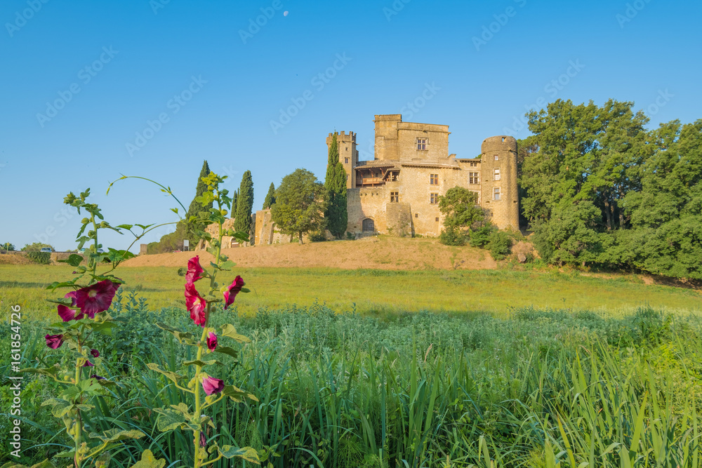 Château de Lourmarin. Provence, France. Fleurs de malva au premier plan.