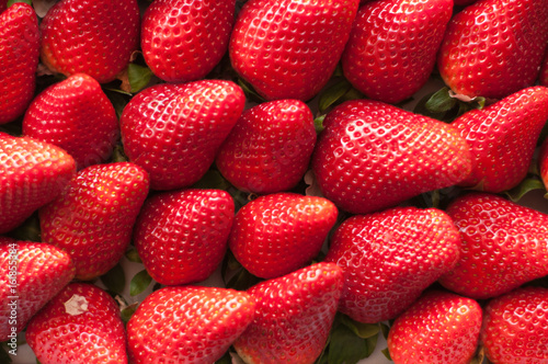 red fresh strawberry