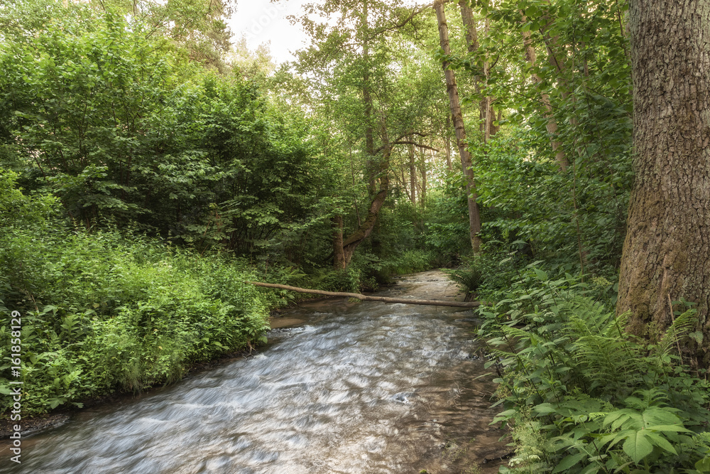 Roztocze (Roztochia) National Park. Cascades on Sopot river. Czartowe Pole (Devil's Field) reservation. Roztocze (Roztochia) National Park. Cascades on Sopot river. Czartowe Pole (Devil's Field) reservation.