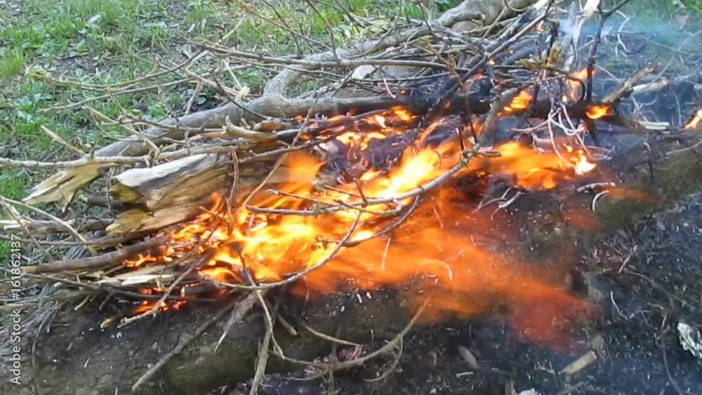 Big orange bonfire burns in the meadow -10s. Fire from dry branches and logs, video with sound
Big orange bonfire burns in the meadow -10s. Fire from dry branches and logs, video with sound