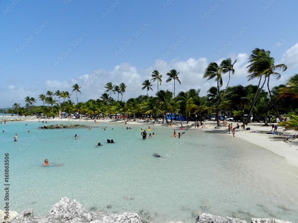Plage du Bourg de SainteAnne Guadeloupe Photos Adobe Stock