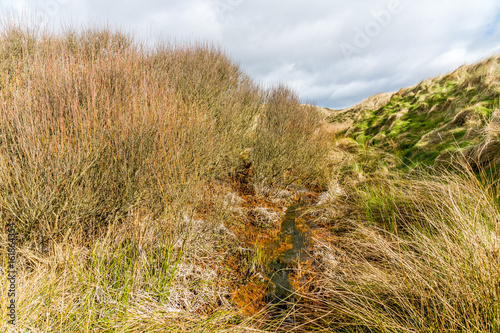 Red stream at Forvie Nature Reserve. photo