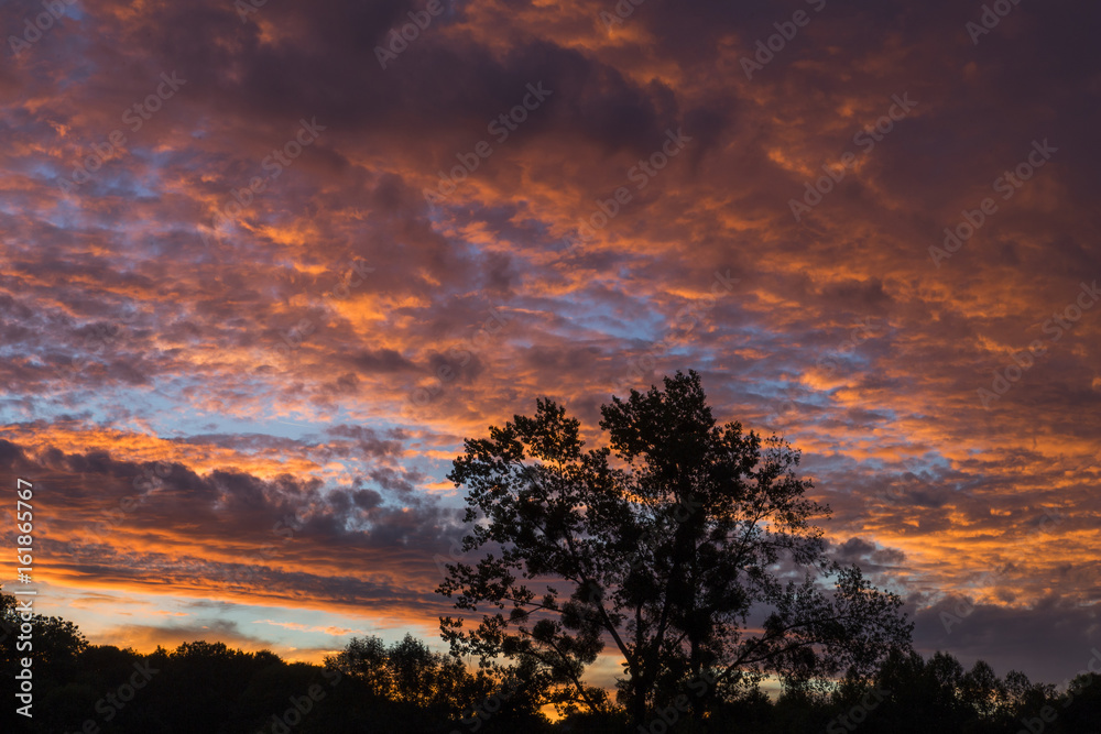 Naklejka premium Coucher de soleil