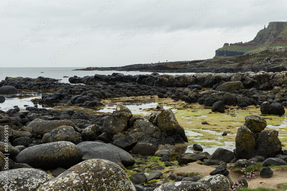 tidal pools of the Giant's Causeway tidal pools of the Giant's Causeway