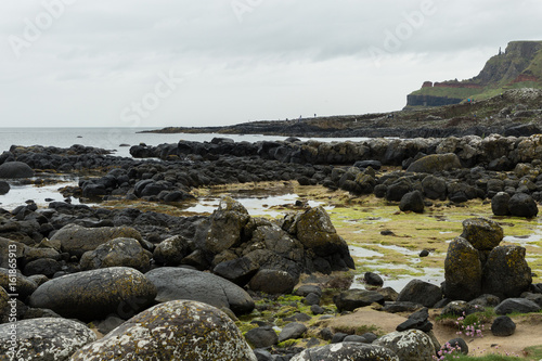 tidal pools of the Giant's Causeway