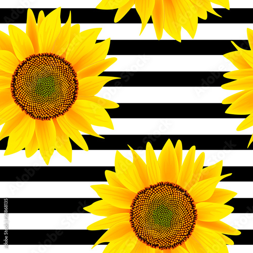 Sunflowers on a striped black and white. Seamless vector pattern