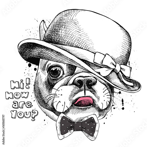 Image Portrait of French bulldog in a Elegant hat and tie. Vector illustration.