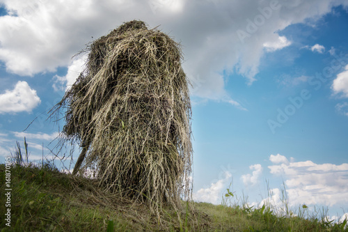 NATUR - Heu zum trocknen aufgestellt