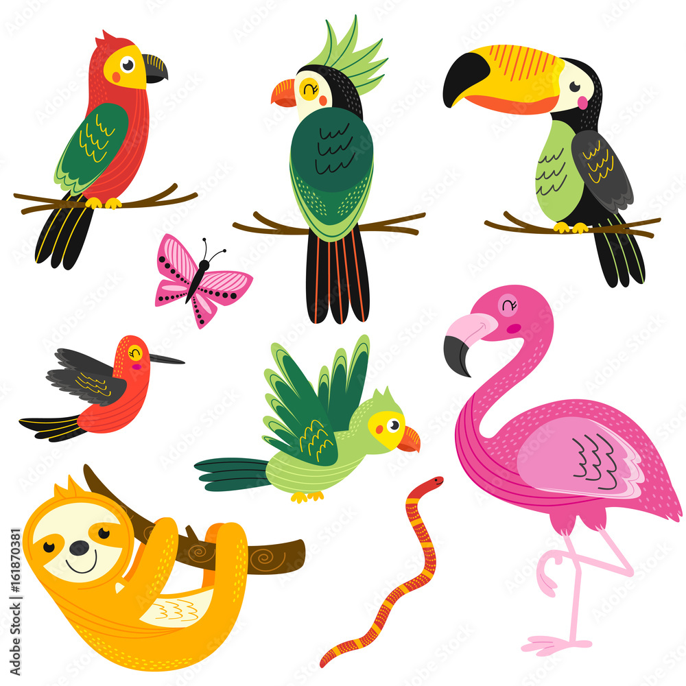 set of isolated with tropical animals - vector illustration, eps set of isolated with tropical animals - vector illustration, eps