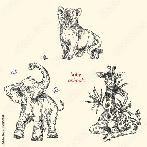 Set of baby animals. Wild. Giraffe, elephant, lion. Vintage style. Vector illustration.