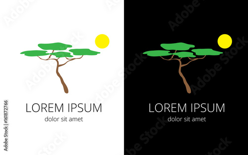 Baobab and sun schematic