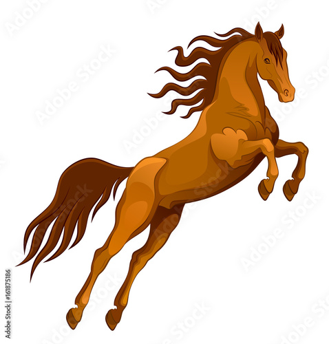 Brown horse jumping on a white background