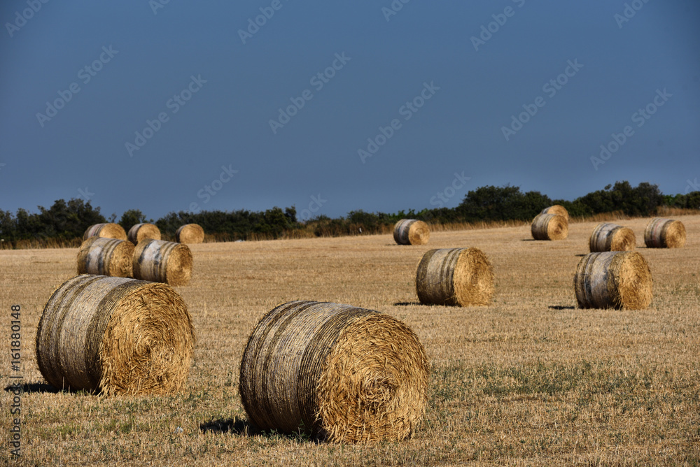 Straw bales on farmland with blue sky