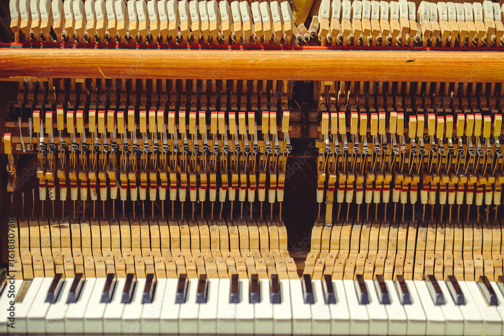Piano strings and keys