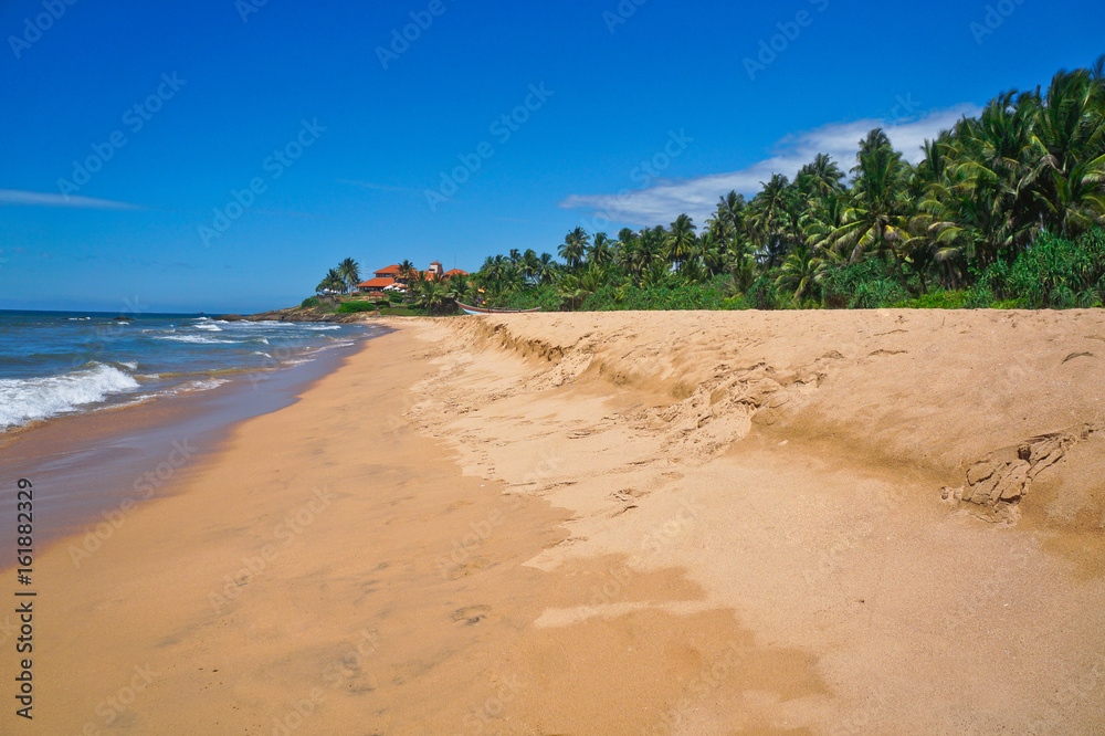 Concept of rest and recreation. View of a beautiful tropical beach with palm trees around. Tropical landscape in the Indian Ocean. Beautiful view of Sri Lanka Concept of rest and recreation. View of a beautiful tropical beach with palm trees around. Tropical landscape in the Indian Ocean. Beautiful view of Sri Lanka