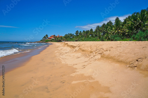 Concept of rest and recreation. View of a beautiful tropical beach with palm trees around. Tropical landscape in the Indian Ocean. Beautiful view of Sri Lanka