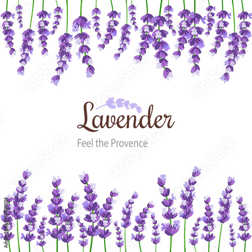 Lavender Card with flowers. Vintage Label with provence violet lavender.