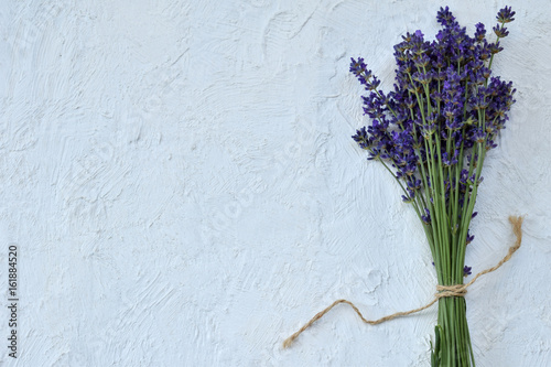 Fototapeta Naklejka Na Ścianę i Meble -  Bunch of lavender flower on a light background, copy space .