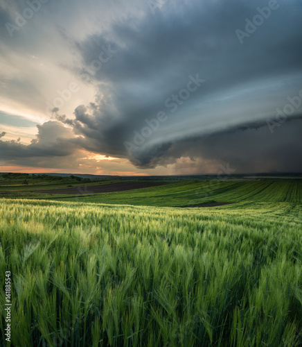 Cyclone on the field. Beautiful natural landscape in the summer time