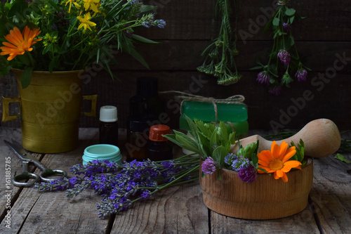 Composition of fresh herbs and flower used in natural alternative medicine or cosmetology for preparation of cosmetics, cream, soap, lipstick, bath salt, oil. Sage, lavender, calendula, clover, yarrow
