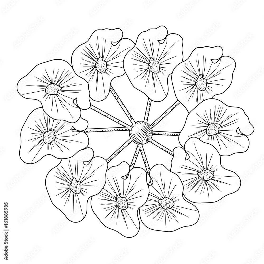 Isolated flower sketch