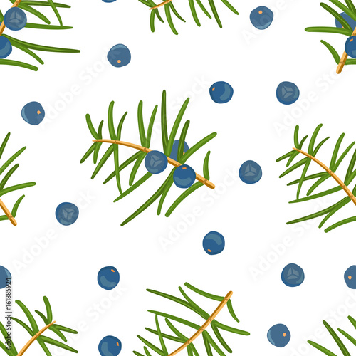 juniper pattern: berries juniper and a branch