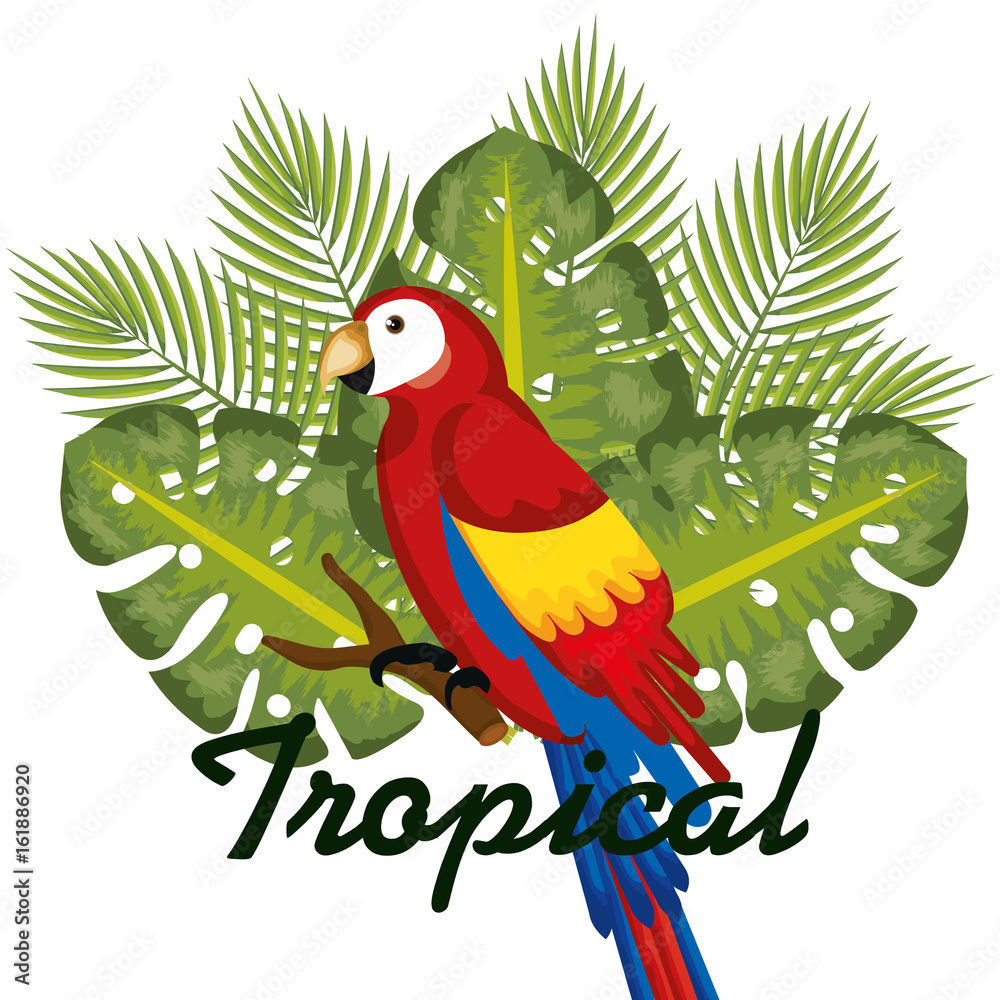 Guacamaya and tropical leaves over white background vector illustration  vector de Stock | Adobe Stock
